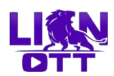 lion logo